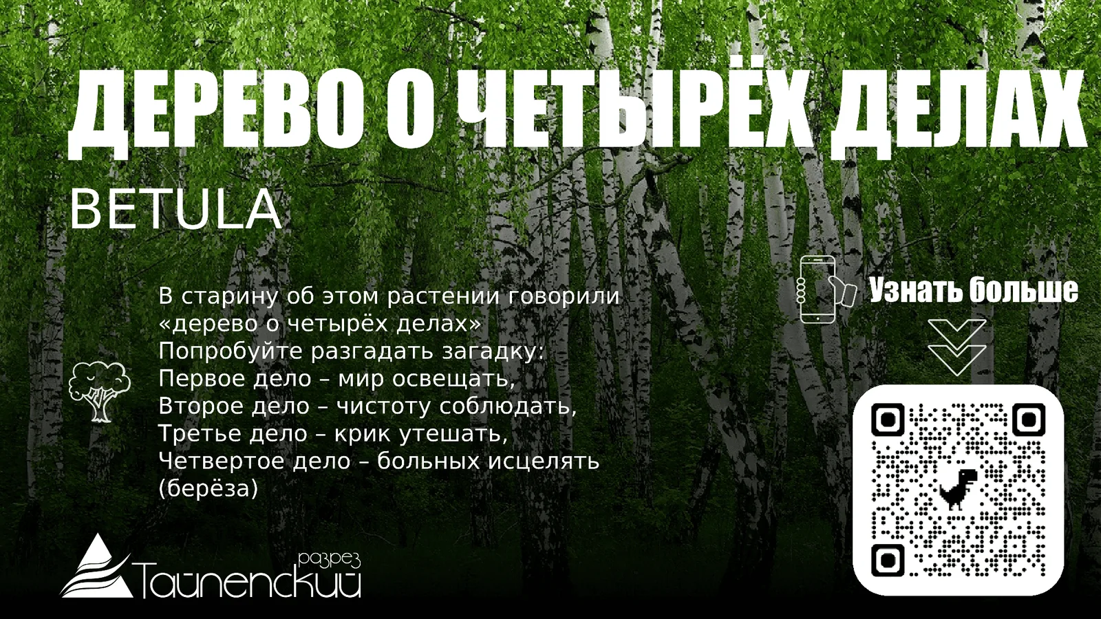 ЭКО-тропа в Калтане — работа Спринт Медиа