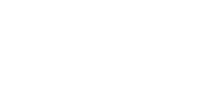 Спринт Медиа