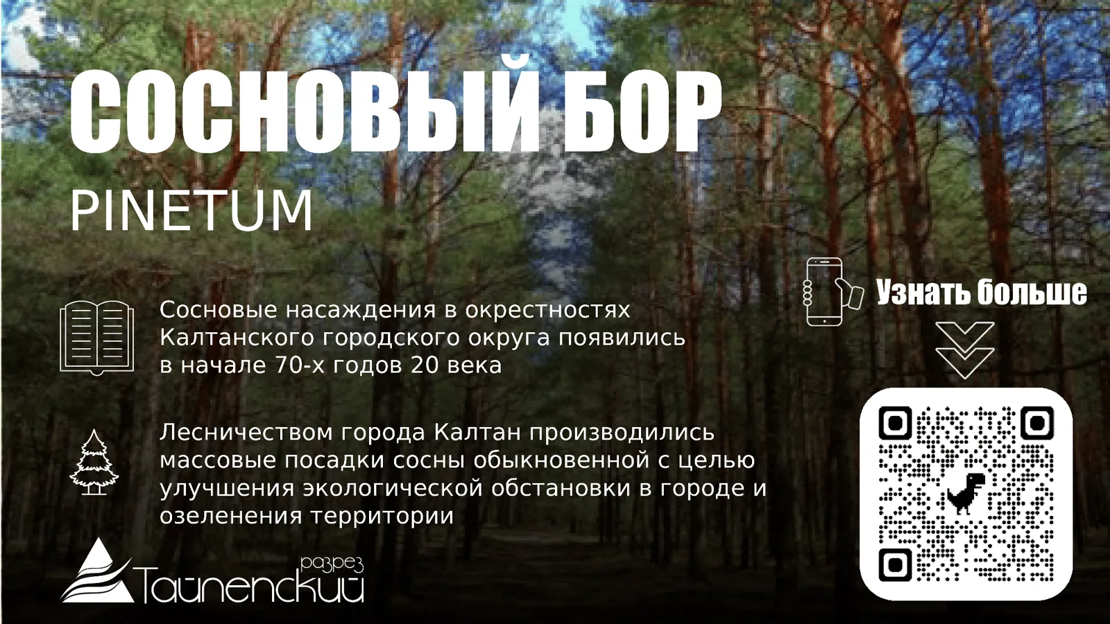 Табличка о сосновом боре с QR-кодом — Спринт Медиа, Новокузнецк